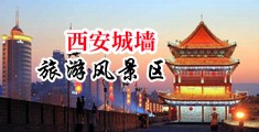 插美女嫩逼视频中国陕西-西安城墙旅游风景区