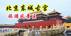 灰丝骚穴自慰在线中国北京-东城古宫旅游风景区